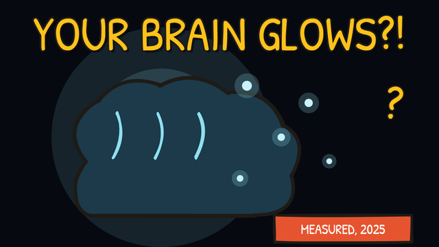 Munchrd: Why did scientists just catch your brain glowing in the dark?