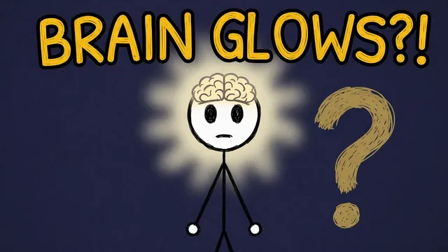 Munchrd: Why did scientists just catch your brain glowing in the dark?