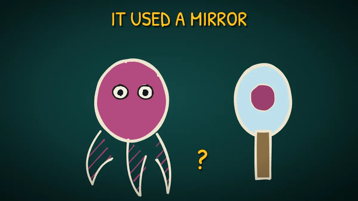 Munchrd illustration for: Can octopuses really use mirrors?
