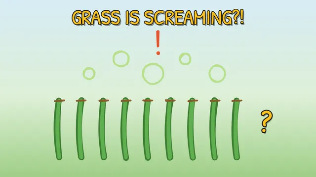 Munchrd: Why does fresh-cut grass smell so good?