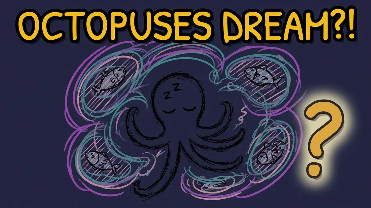 Munchrd illustration for: Do octopuses dream, and do they practise hunting in their sleep?