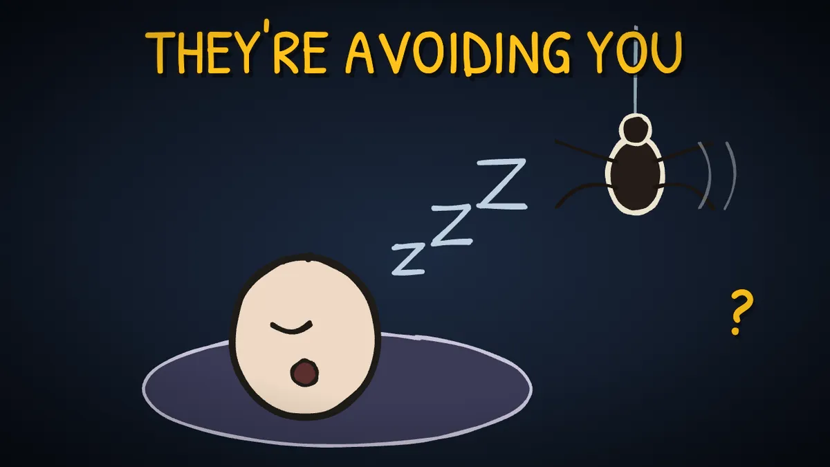 Munchrd illustration for: Do you swallow spiders in your sleep?