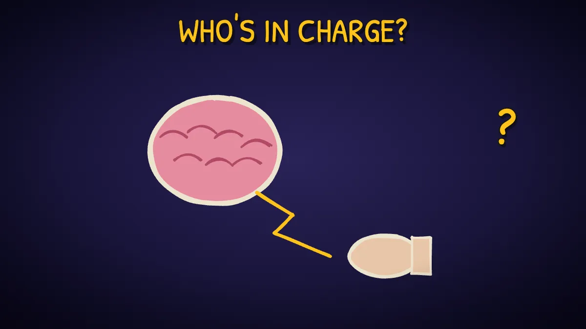 Munchrd illustration for: Does your brain decide before 'you' do?
