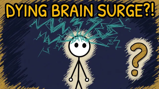 Munchrd: Why do some dying brains blaze with activity at the very end?