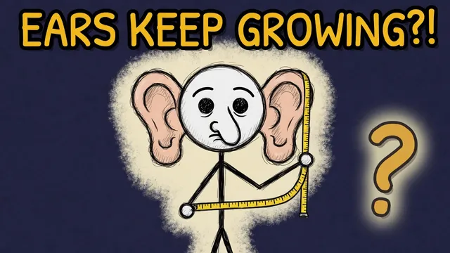Munchrd: Why do your ears and nose never stop growing?