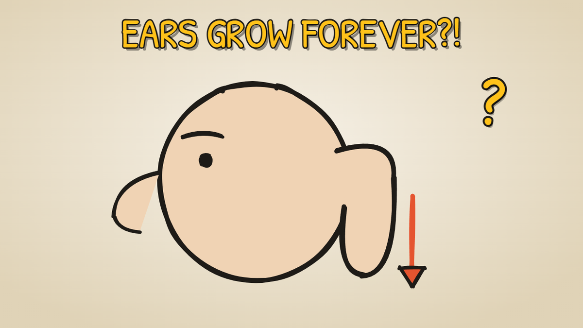 Munchrd illustration for: Why do your ears and nose never stop growing?