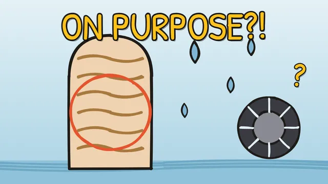 Munchrd: Why do your fingers wrinkle in water?
