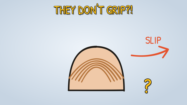 Munchrd: Why do you have fingerprints?