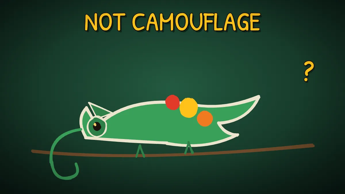 Munchrd illustration for: How do chameleons change colour?
