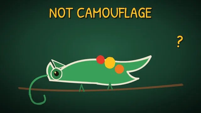 Munchrd: How do chameleons change colour?