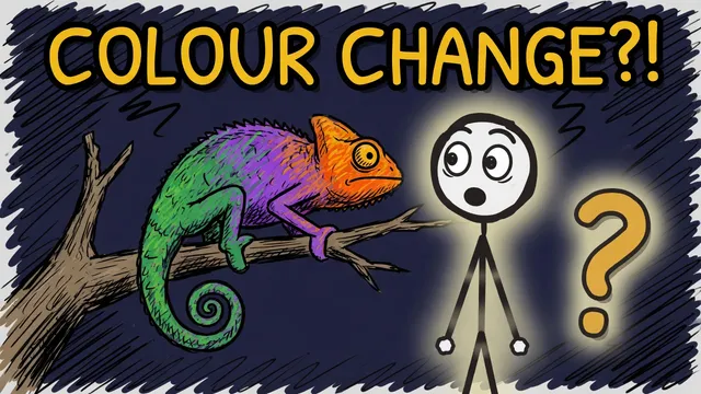 Munchrd: How do chameleons change colour?