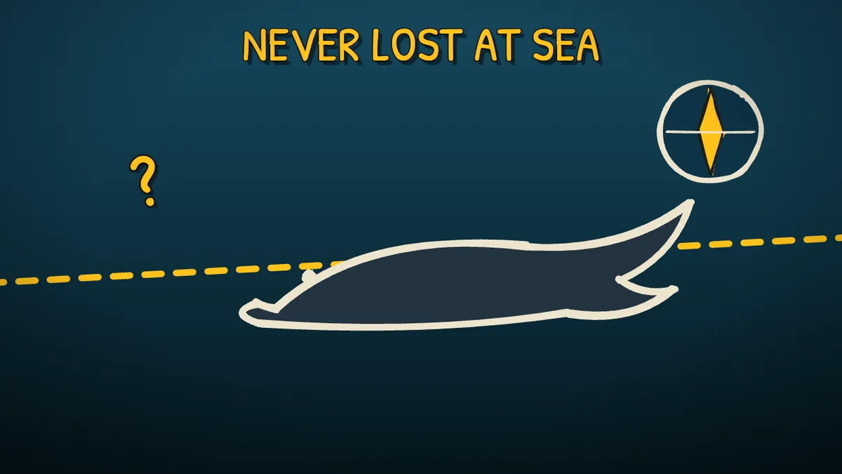 Munchrd illustration for: How do humpback whales cross an entire ocean without getting lost?