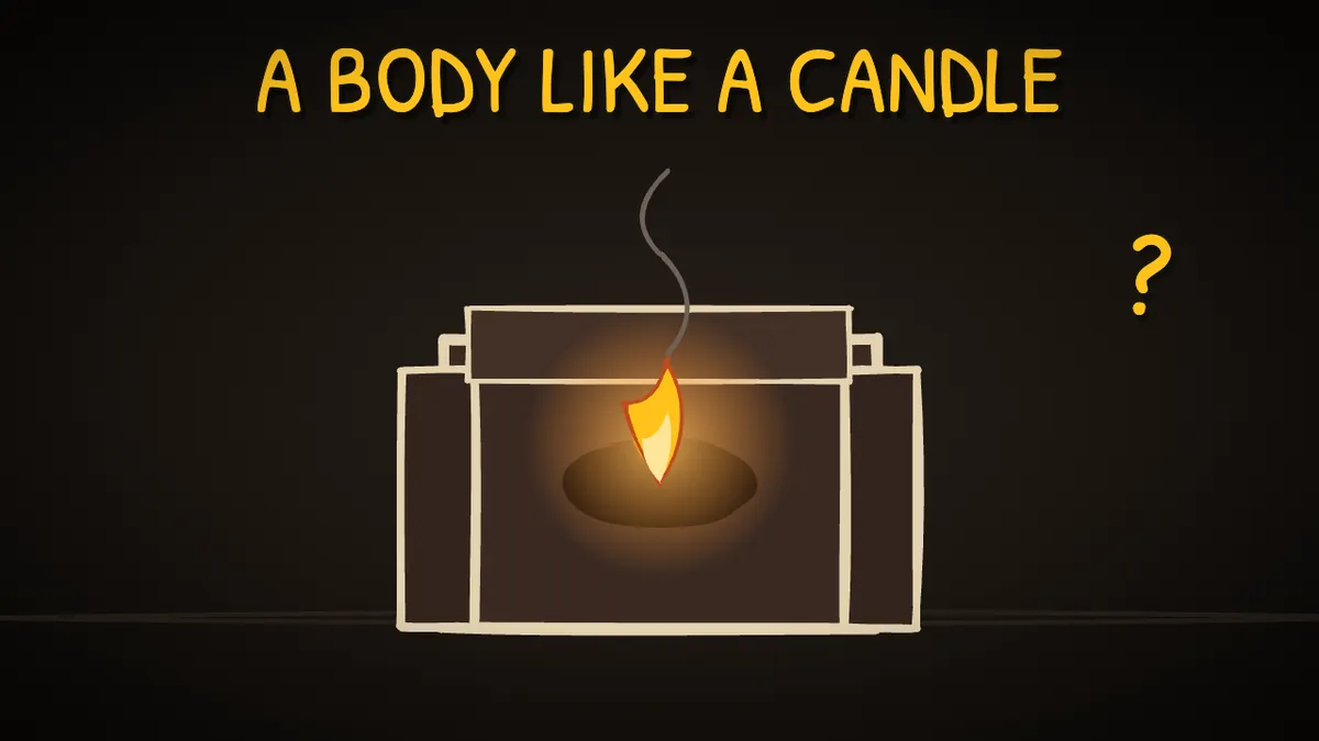 Munchrd illustration for: Is spontaneous human combustion real?