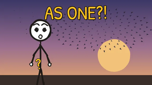 Munchrd: Why do thousands of starlings move as one?