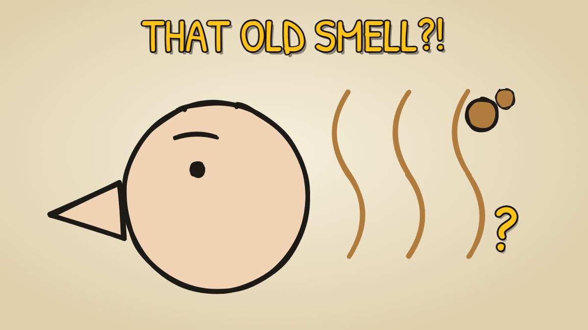 Munchrd illustration for: Why do old people have a certain smell?