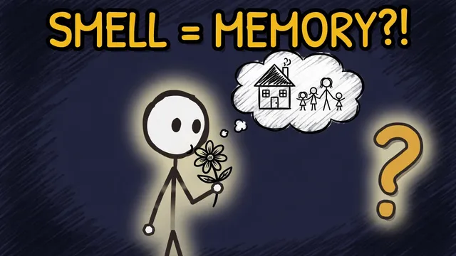 Munchrd: Why does a smell trigger a forgotten memory?