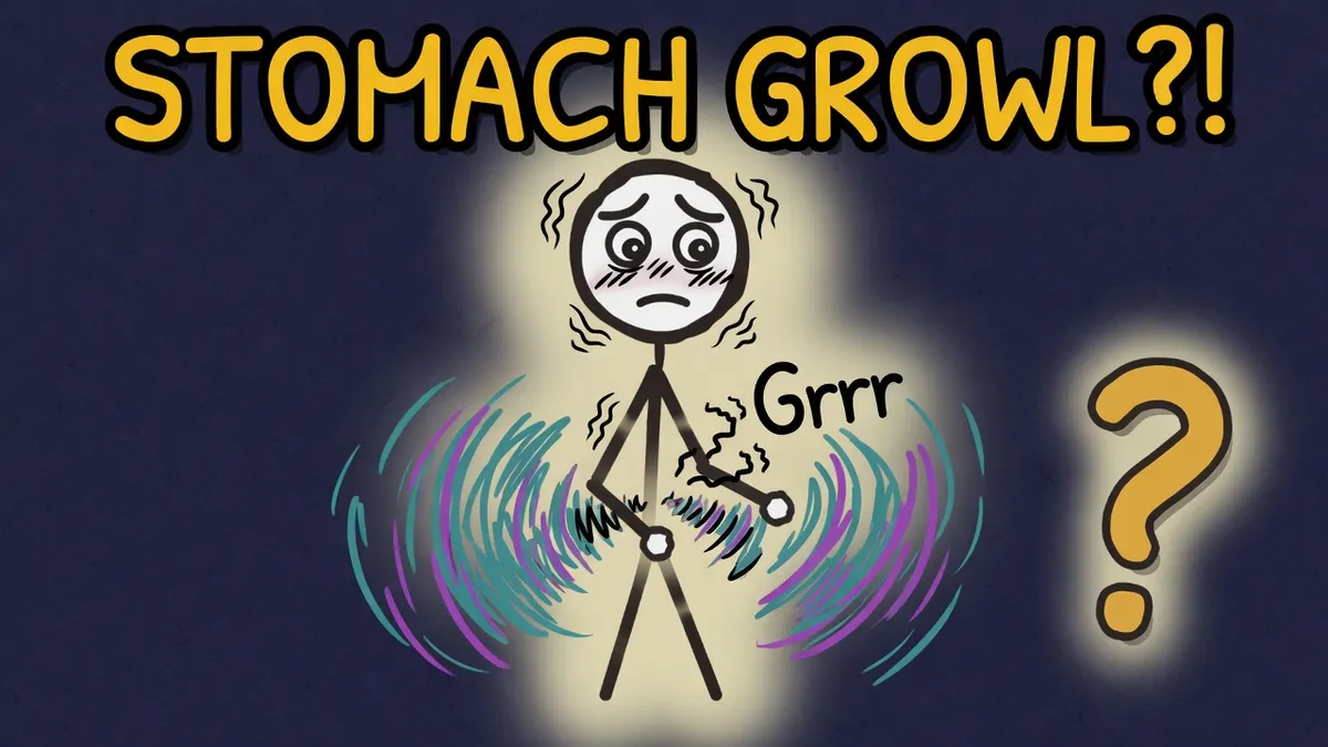 Munchrd illustration for: Why does your stomach growl?