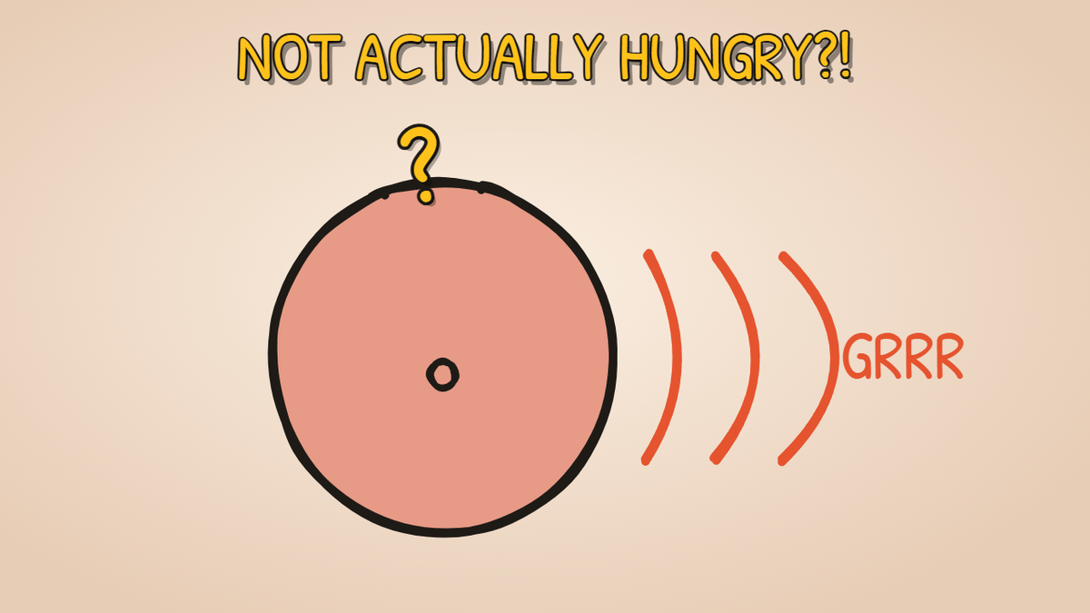 Munchrd illustration for: Why does your stomach growl?