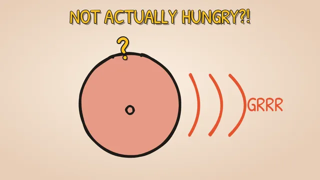 Munchrd: Why does your stomach growl?