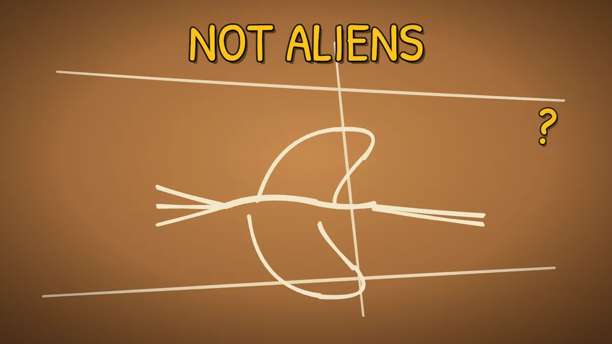 Munchrd illustration for: What are the Nazca Lines?