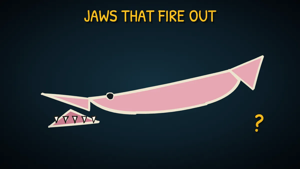 Munchrd illustration for: What is the goblin shark, and why is it almost never seen alive?