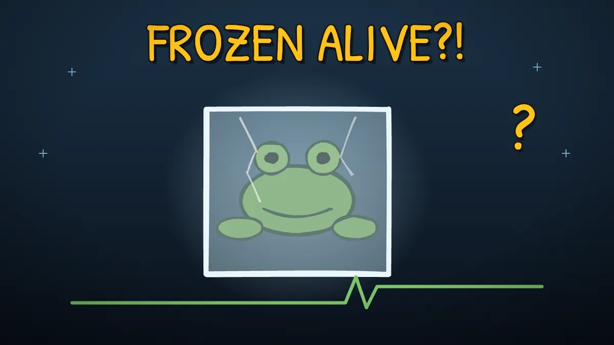 Munchrd illustration for: Why can wood frogs freeze solid and thaw alive?