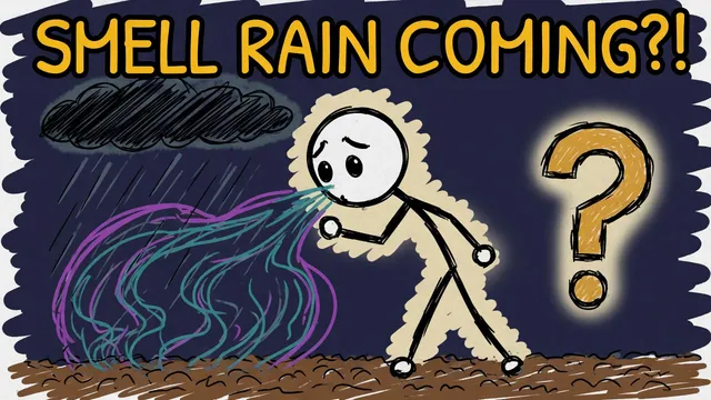 Munchrd: Why can you smell rain coming?