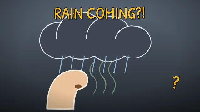 Munchrd: Why can you smell rain coming?