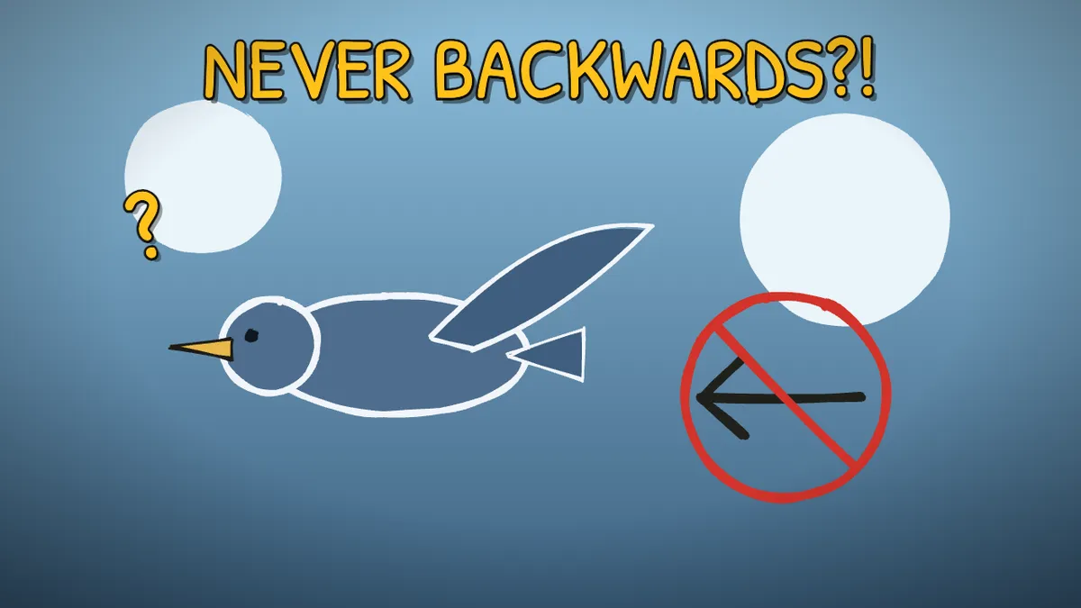 Munchrd illustration for: Why can't birds fly backwards?
