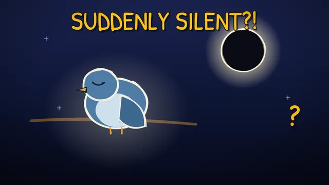 Munchrd: Why do animals go quiet in an eclipse?