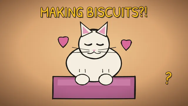 Munchrd: Why do cats knead?