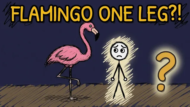 Munchrd: Why do flamingos stand on one leg?