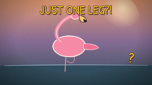 Munchrd: Why do flamingos stand on one leg?