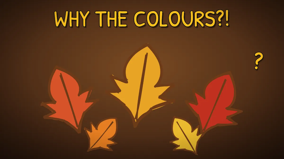 Munchrd illustration for: Why do leaves change colour in autumn?
