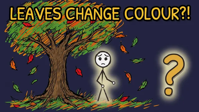 Munchrd: Why do leaves change colour in autumn?