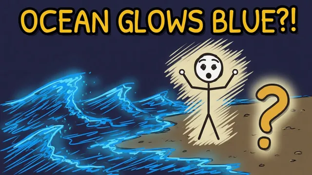 Munchrd: Why do ocean waves glow blue at night?