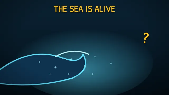 Munchrd: Why do ocean waves glow blue at night?