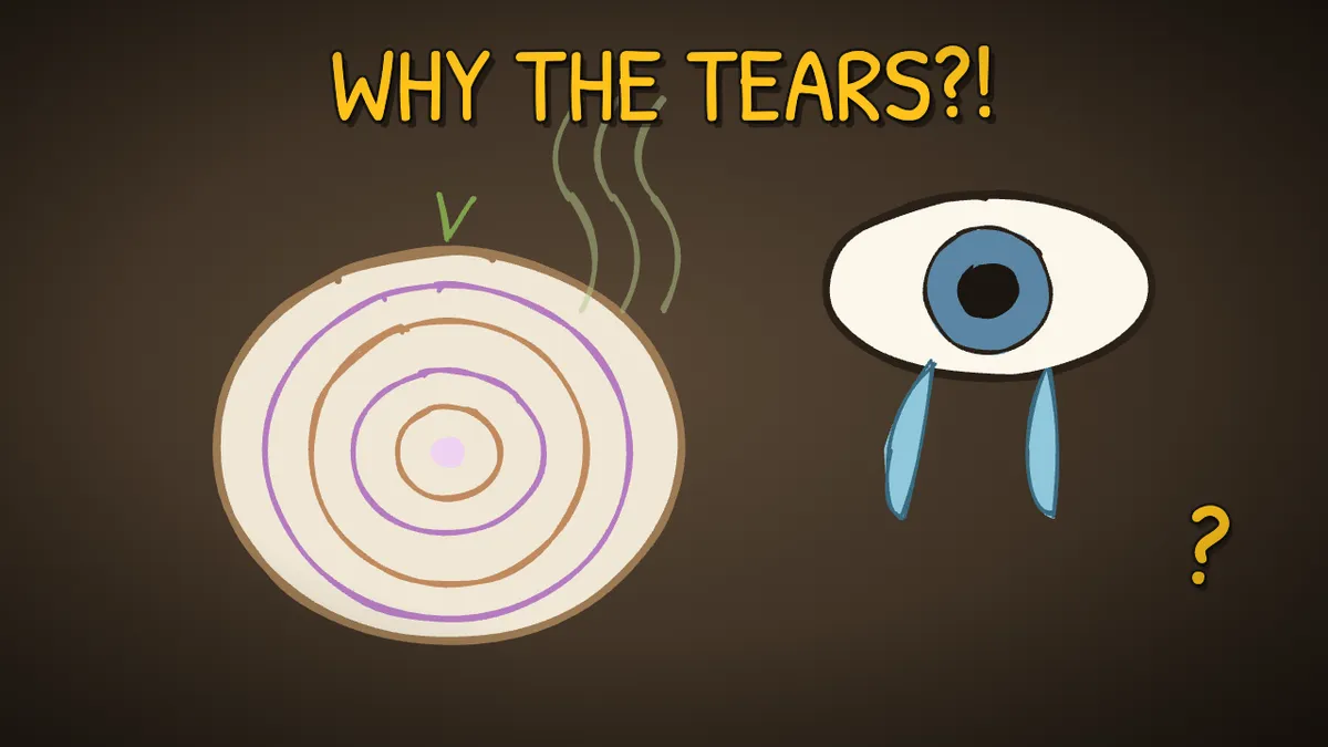 Munchrd illustration for: Why do onions make you cry?