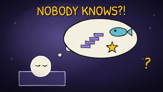 Munchrd: Why do we dream?