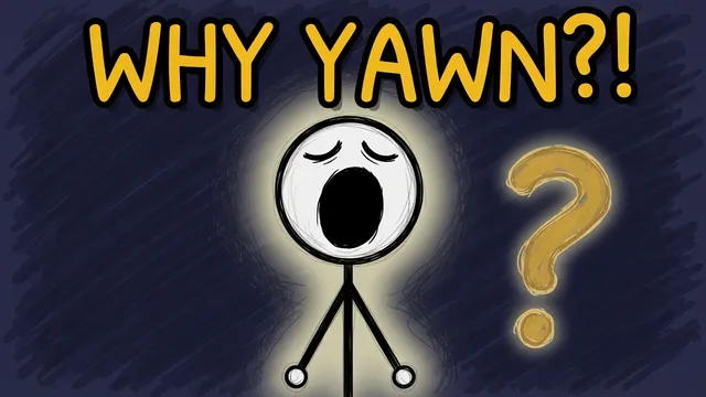 Munchrd: Why do we yawn?