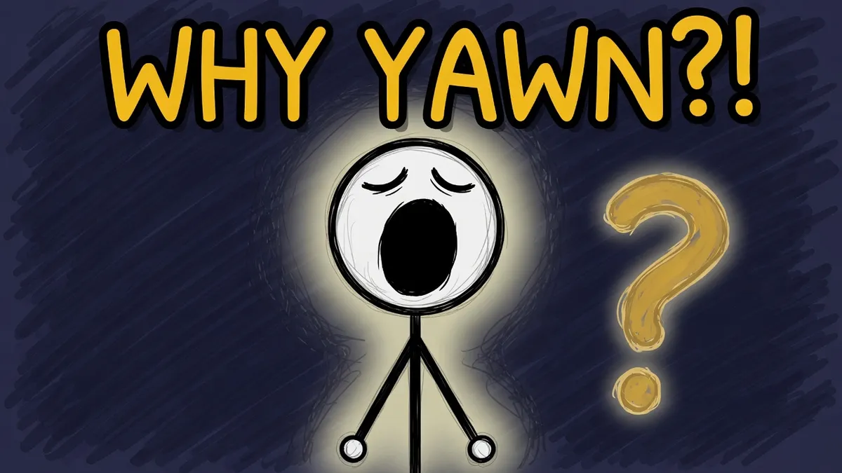 Munchrd illustration for: Why do we yawn?