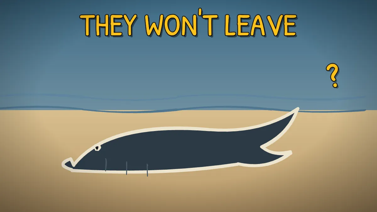 Munchrd illustration for: Why do whales beach themselves?