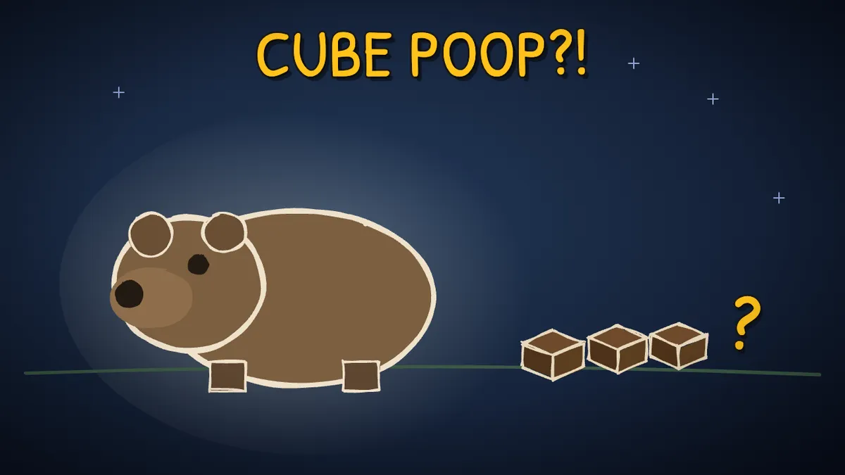 Munchrd illustration for: Why do wombats poop cubes?