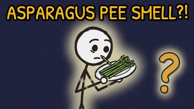 Munchrd: Why does asparagus make your pee smell?