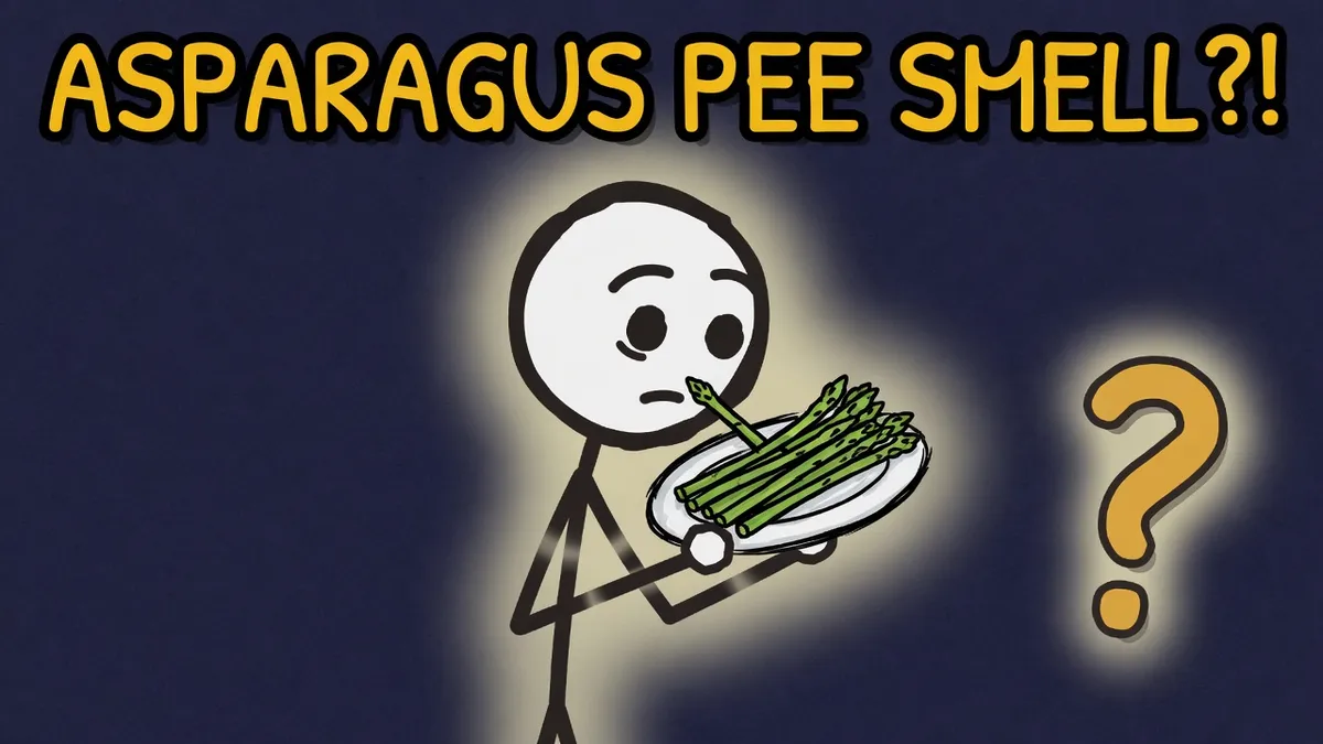Munchrd illustration for: Why does asparagus make your pee smell?