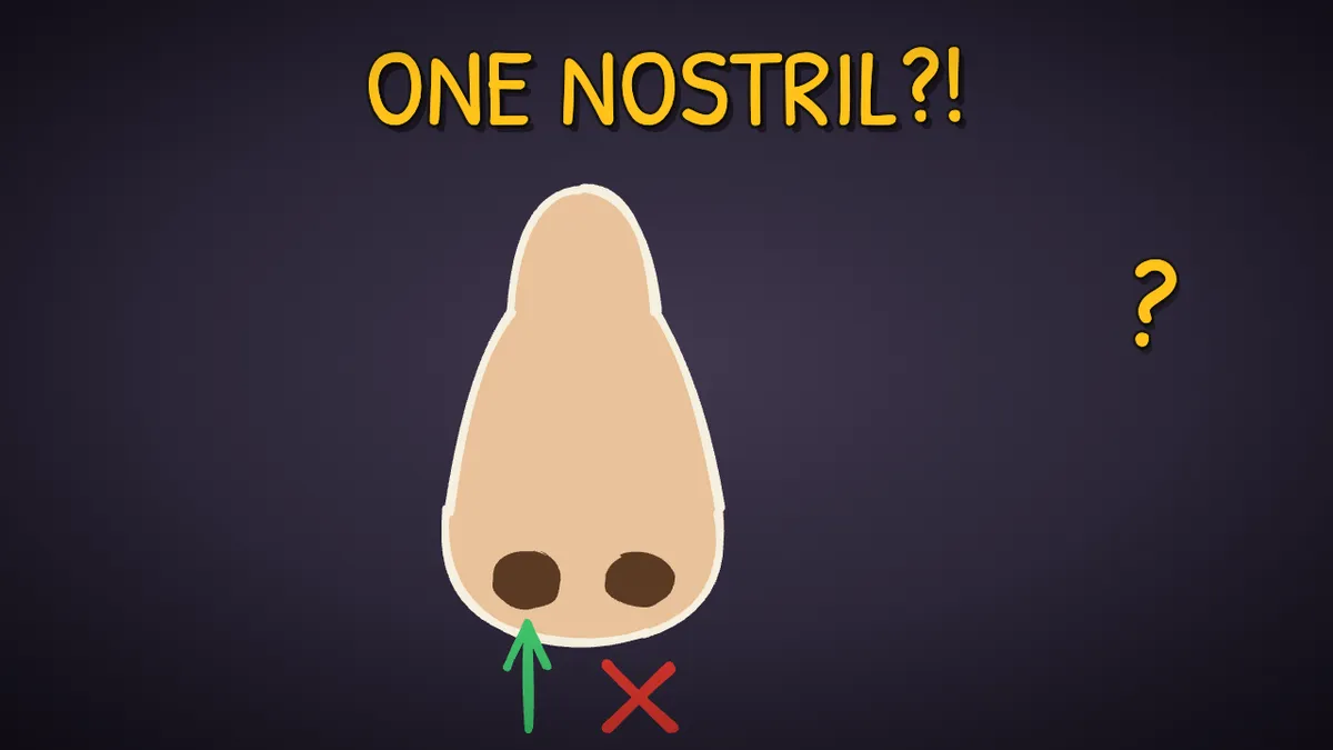 Munchrd illustration for: Why does only one nostril work at a time?