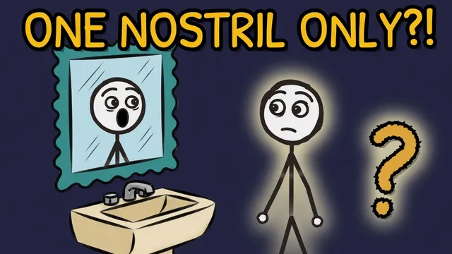 Munchrd: Why does only one nostril work at a time?