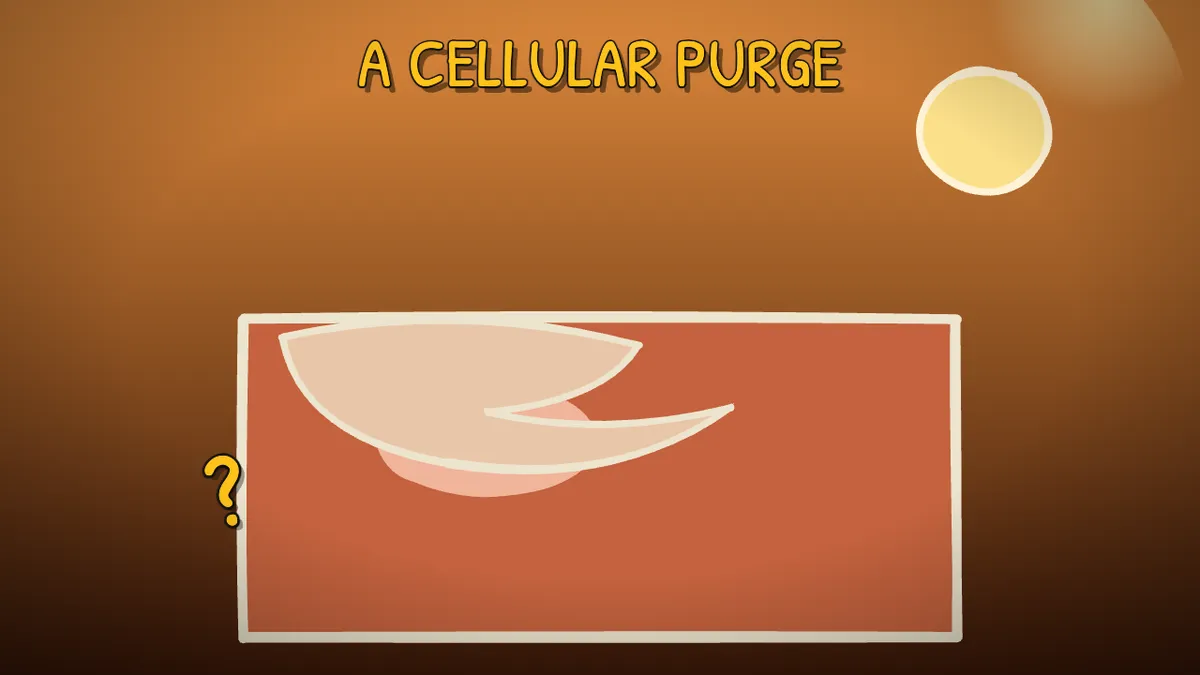 Munchrd illustration for: Why does your skin peel after sunburn?