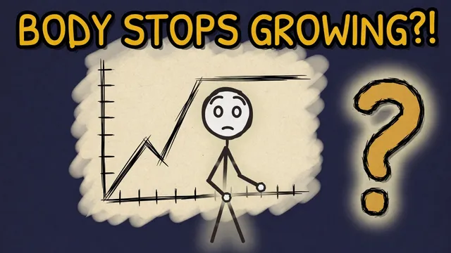 Munchrd: Why does your body stop growing?