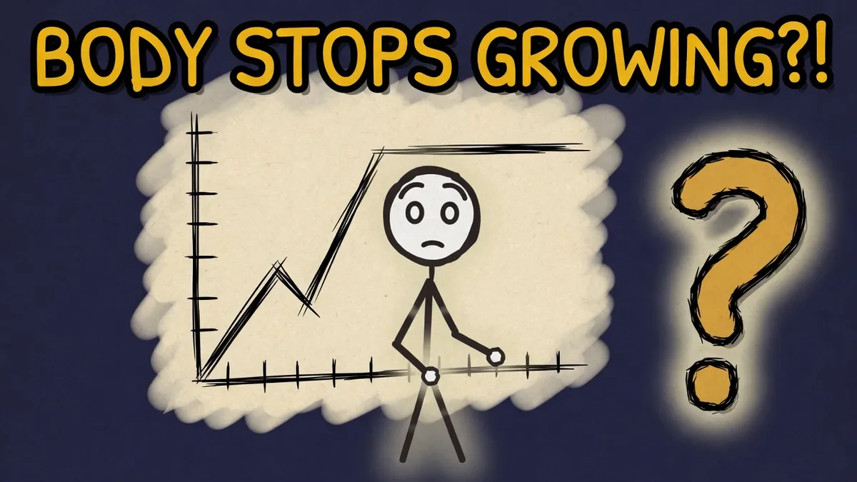 Munchrd illustration for: Why does your body stop growing?